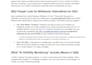 do SEO article writing and blog writing for saas ai tech and edtech companies
